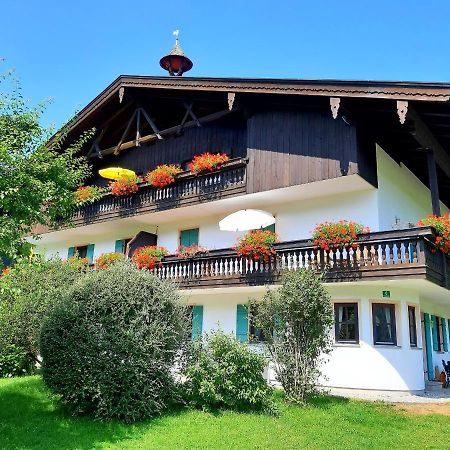 Gschwendtnerhof App10 Krausw Daire Aschau im Chiemgau Dış mekan fotoğraf