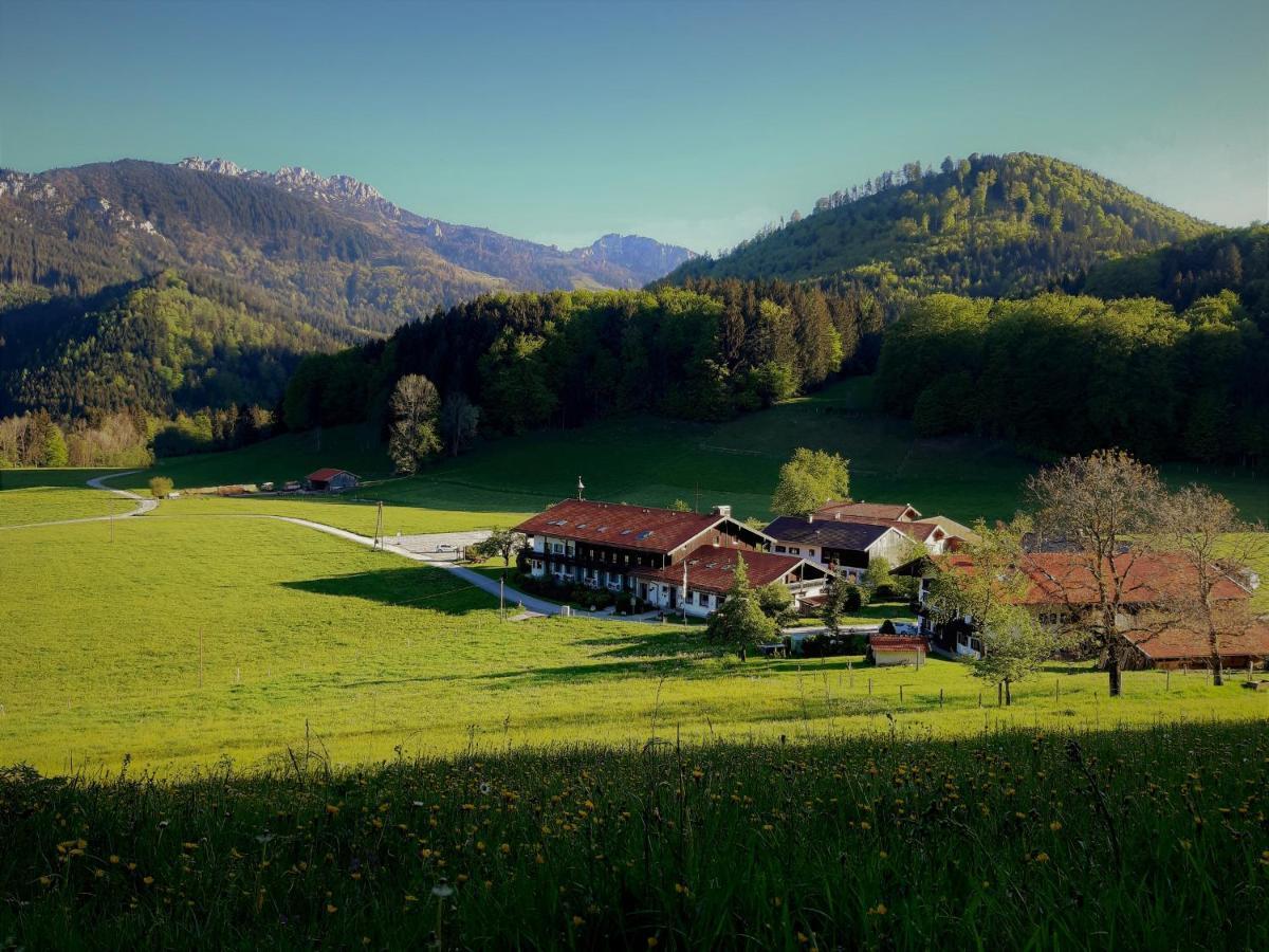 Gschwendtnerhof App10 Krausw Daire Aschau im Chiemgau Dış mekan fotoğraf